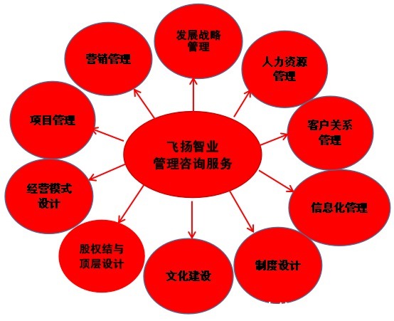 管理咨詢服務哪家強？深度解析信息咨詢領域的選擇策略